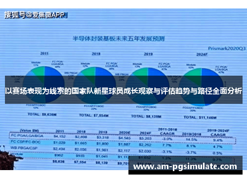 以赛场表现为线索的国家队新星球员成长观察与评估趋势与路径全面分析