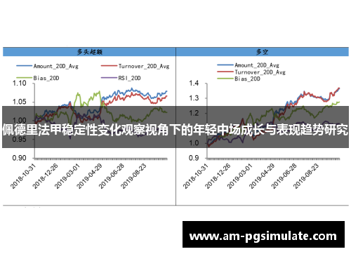 佩德里法甲稳定性变化观察视角下的年轻中场成长与表现趋势研究