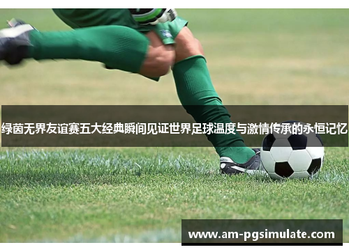 绿茵无界友谊赛五大经典瞬间见证世界足球温度与激情传承的永恒记忆